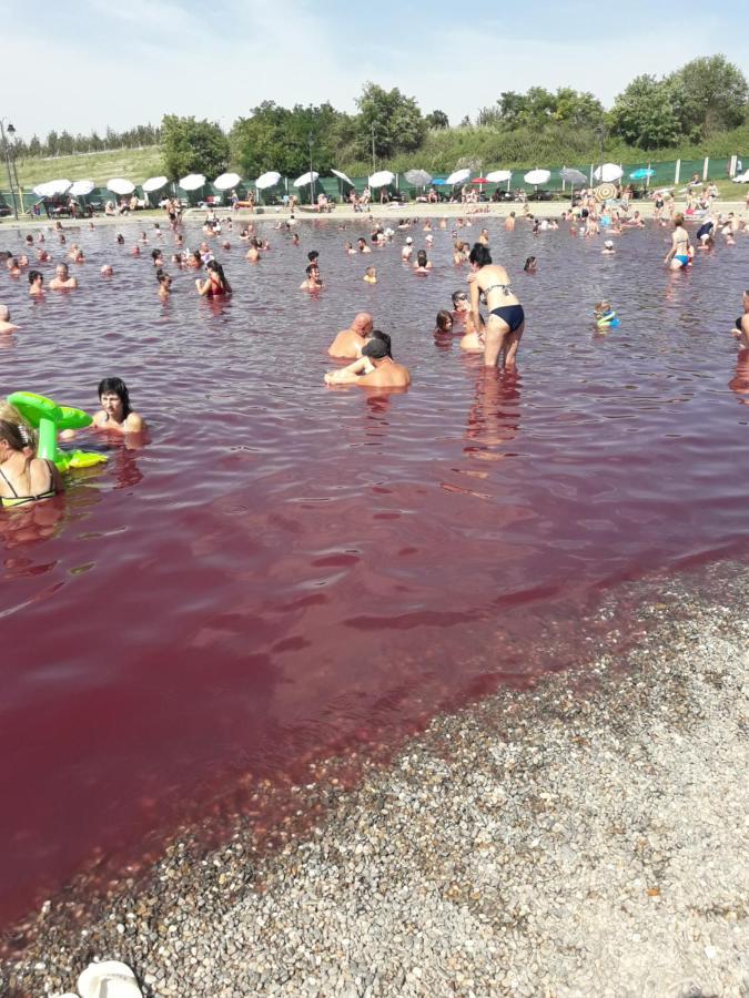 فيلا Backi Raj Gornja Rogatica المظهر الخارجي الصورة